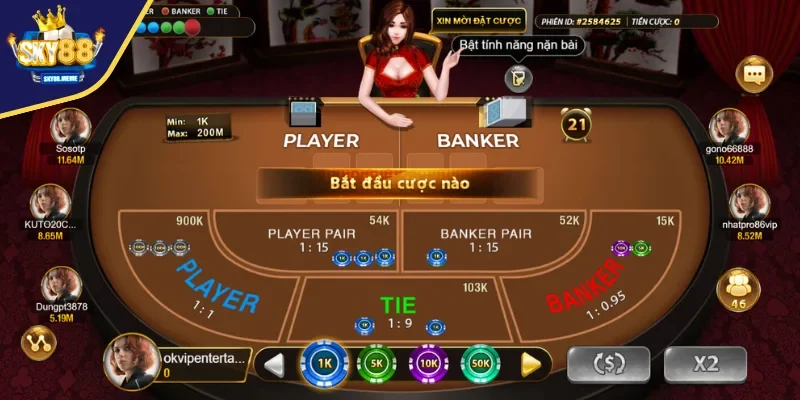 Các thuật ngữ chuyên dụng trong Baccarat SKY88